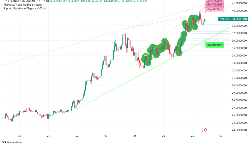 Hyperliquid Surges Past Sui in Market Cap: HYPE Token Ready to Breakout?