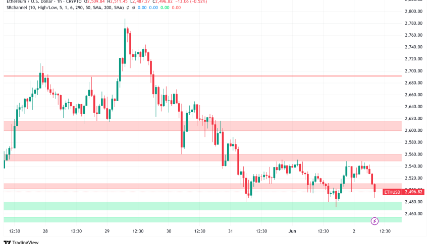 Ethereum Faces Critical Support Test at $2,456 as Whale Activity Signals Potential 80% Rally