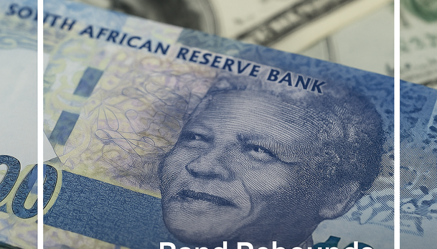 Strong Rand Returns: SARB Eases, Sales Surge