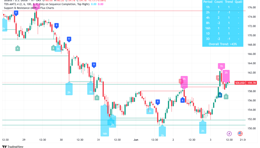 Solana Rallies to $160 Amid Mixed Signals: TD Sequential Buy Signal Emerges as Whale Activity Raises Concerns