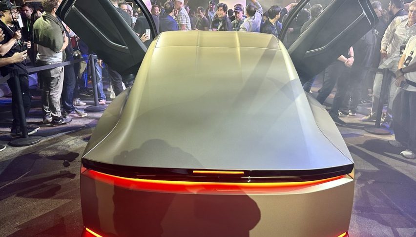 Tesla Tests Support—Robotaxi Rollout in Focus