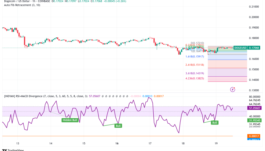 Dogecoin's Record Losing Streak Meets Whale Accumulation at $0.17 Support