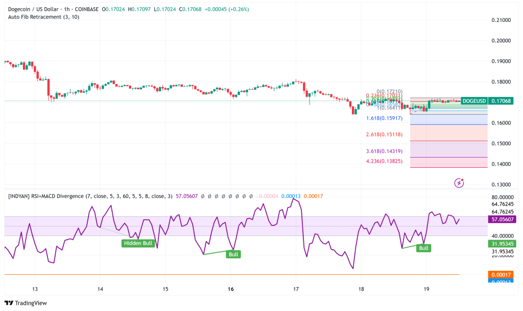 Dogecoin's Record Losing Streak Meets Whale Accumulation at $0.17 Support