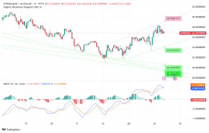Hyperliquid (HYPE) Consolidates Above $36: Institutional Interest and Buybacks Signal Bullish Momentum