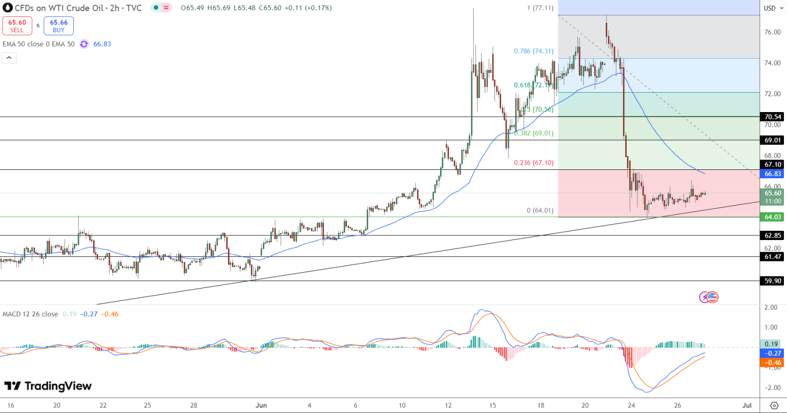 WTI Oil Bounces 3 to 65.60 After 13 Crash, Bulls Target 67.10