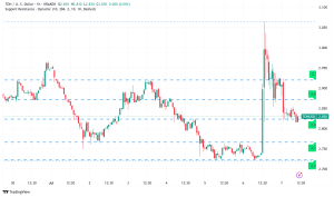 TON Cryptocurrency Plunges After UAE Authorities Refute Golden Visa Claims