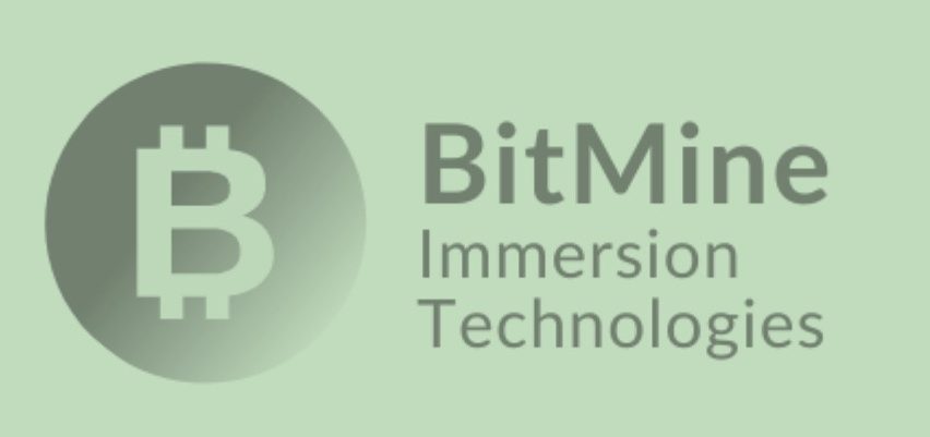 BitMine Immersion: From $4 to $156—and Back Below $100