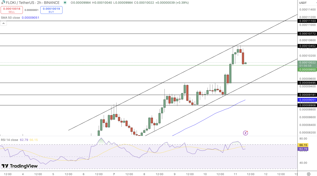 FLOKI Price Chart - Source: Tradingview