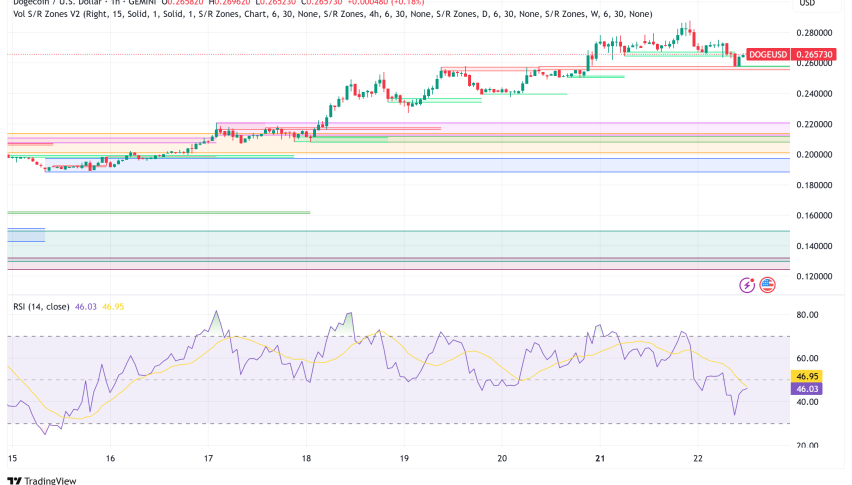 Dogecoin Faces Volatility Despite $500M Corporate Backing, Technical Indicators Signal Mixed Outlook