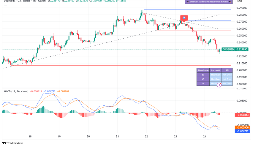 Dogecoin Eyes $0.48 Rally as Historic MACD Bullish Signal Triggers