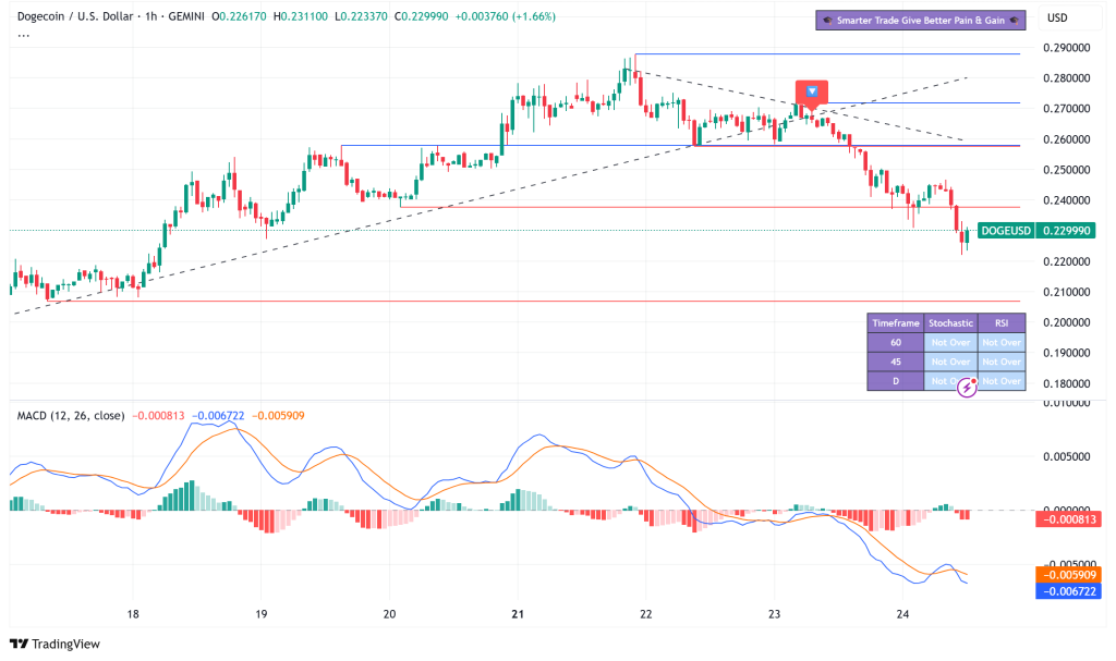 Dogecoin Eyes $0.48 Rally as Historic MACD Bullish Signal Triggers