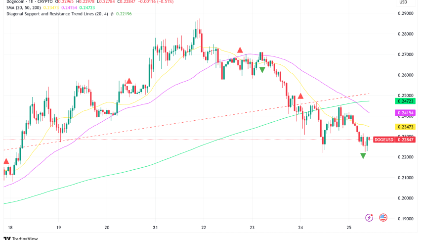 Dogecoin Eyes $0.29 Breakout as Bit Origin's $40.5M Treasury Purchase Signals Institutional Confidence