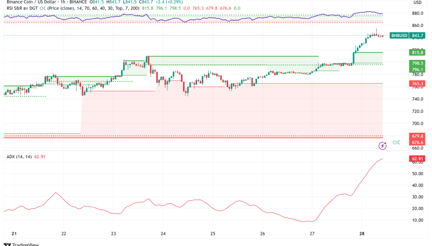 BNB Soars to New All-Time High Above $850: Ecosystem Metrics, Whale Activity Drive Unprecedented Rally