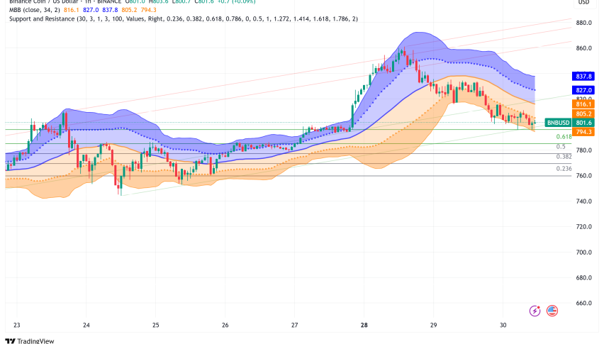 BNB Faces Technical Consolidation Near $800 as Corporate Treasury Adoption Accelerates