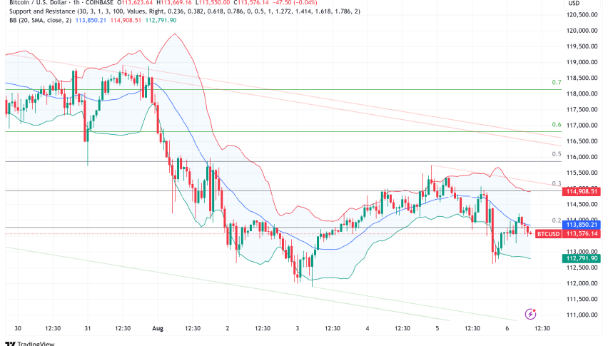 Bitcoin Treads Water at $113,000 as Q4 Could Determine Bull Market Fate