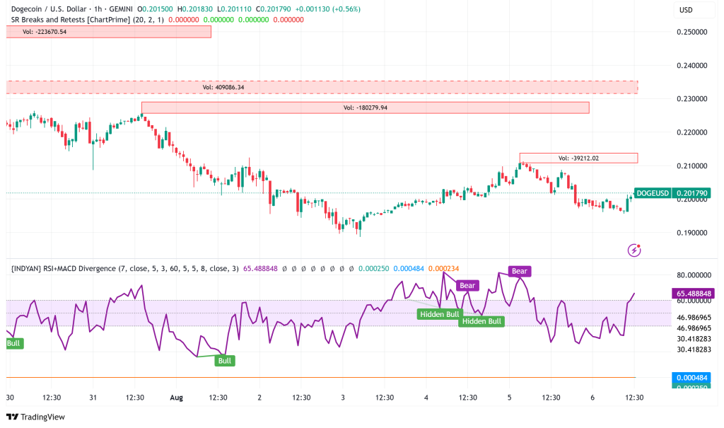 Dogecoin Battles for $0.20 Support as Whale Accumulation Sparks Rally Hopes