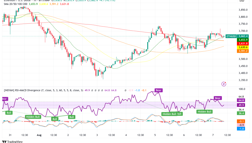 Ethereum Surges Past $3,600 Amid Record Network Activity, But Key Resistance Looms Ahead
