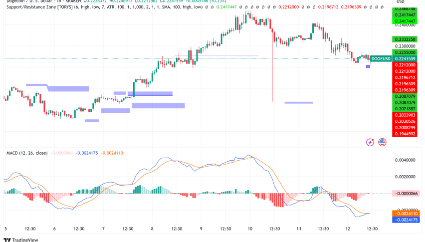 Dogecoin Surges 8% Weekly as Technical Patterns Signal Potential 50% Rally to $0.36