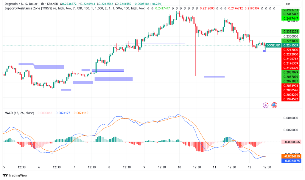 Dogecoin Surges 8% Weekly as Technical Patterns Signal Potential 50% Rally to $0.36
