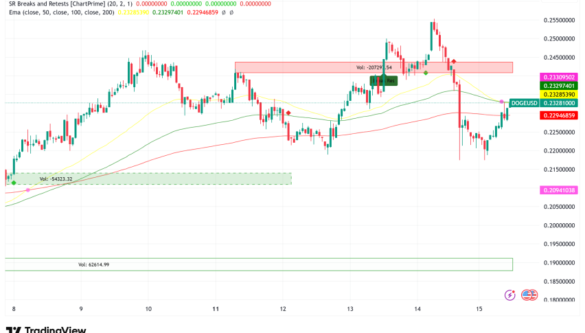 Dogecoin Faces Mixed Signals, Whales Accumulate 2B DOGE Amid Inflation-Driven Selloff