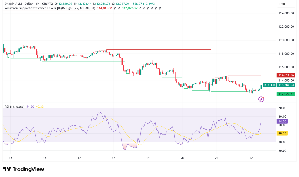 Bitcoin Faces Critical $13.8B Options Test at $113K as Bulls Battle Bears for Market Direction