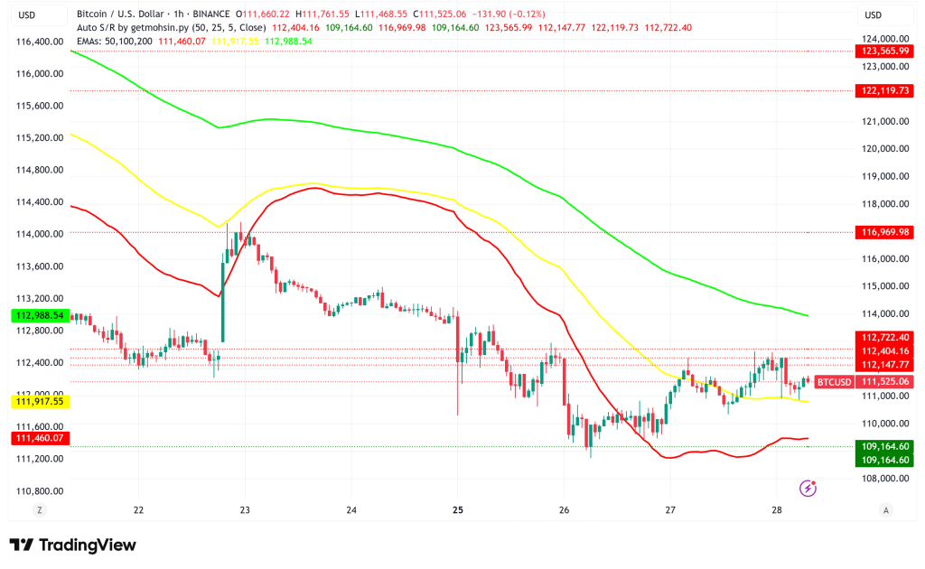BlackRock's Bitcoin Dominance Surges as BTC Tests Critical $113K Resistance Level
