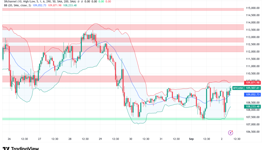 Bitcoin Holds $109K Amid Whale Rotation and Rising Liquidation Risks