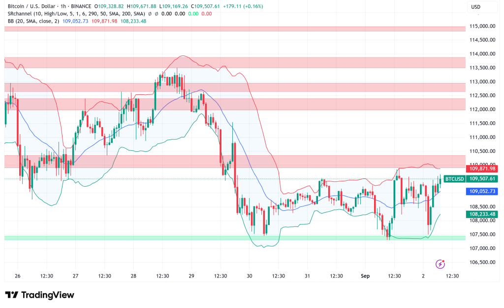 Bitcoin Holds $109K Amid Whale Rotation and Rising Liquidation Risks