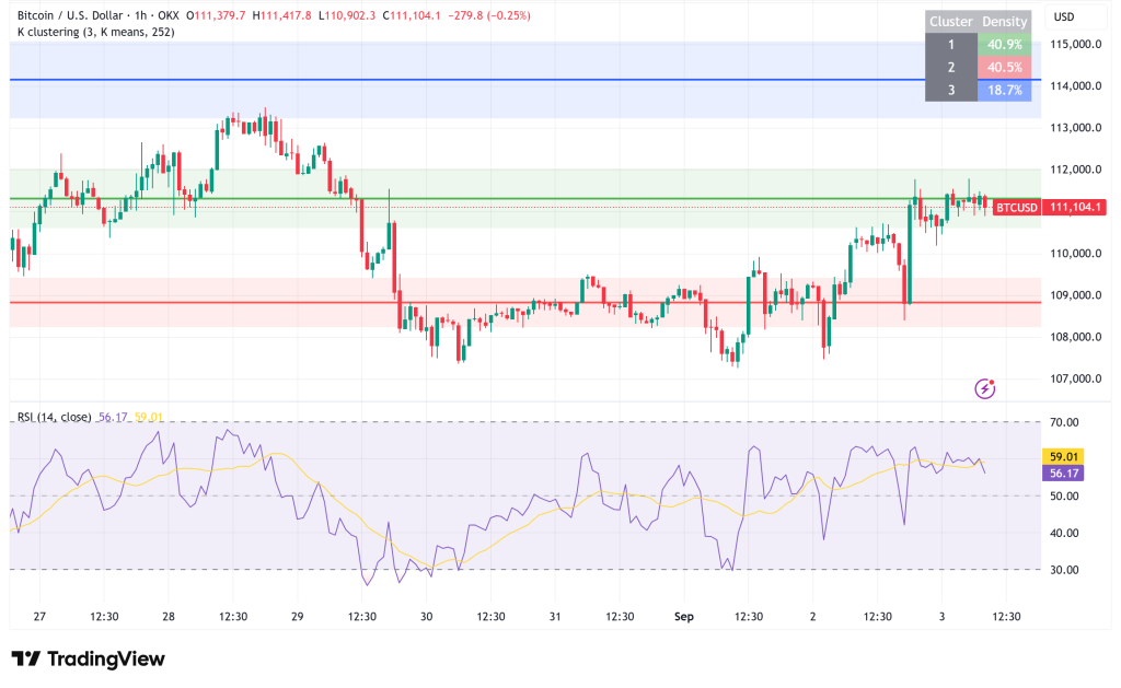 Bitcoin Bounces Back: Can It Sustain the Rally Above $111,000?