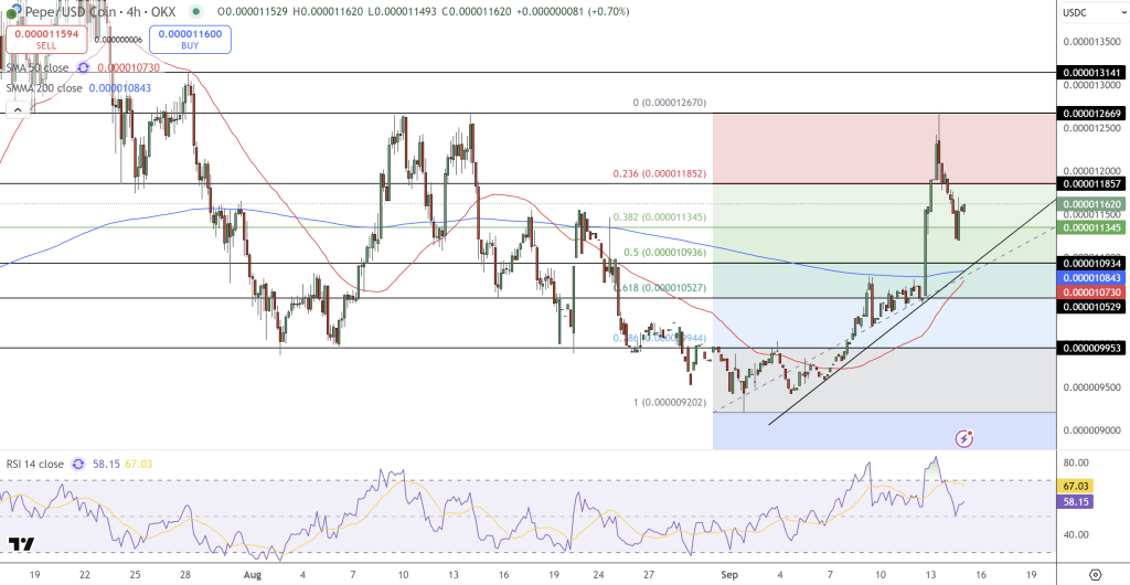 Pepe Coin Price Chart - Source: Tradingview