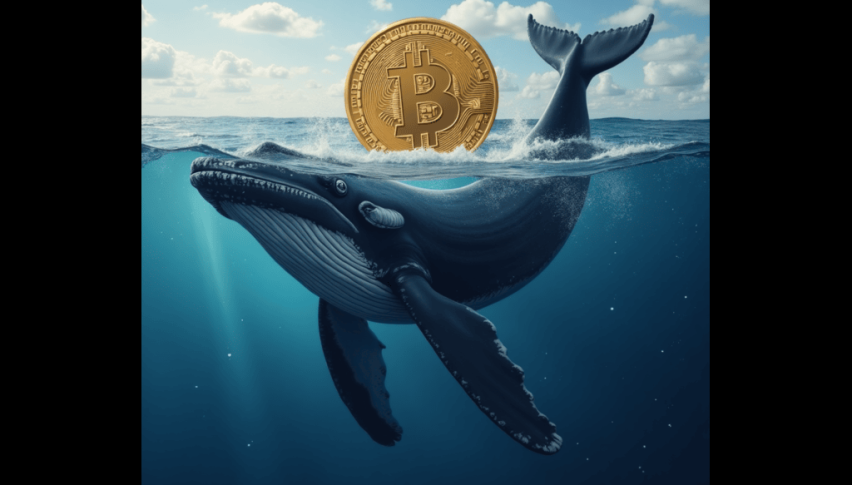 Bitcoin is not as high as it could be due to strong whale activity.