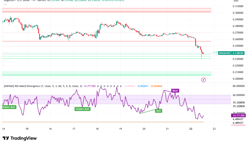 Dogecoin Price Slides Below $0.24 Amid Mixed Technical Signals, Critical Support Test