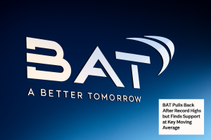 Shifting Strategies and Buybacks Shape BTIJ’s Volatile 2025 Performance