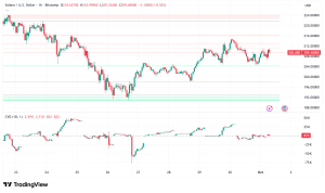 Solana Holds Firm at $210 as Institutional Buyers Counter Retail Liquidations Ahead of Critical SEC Deadline