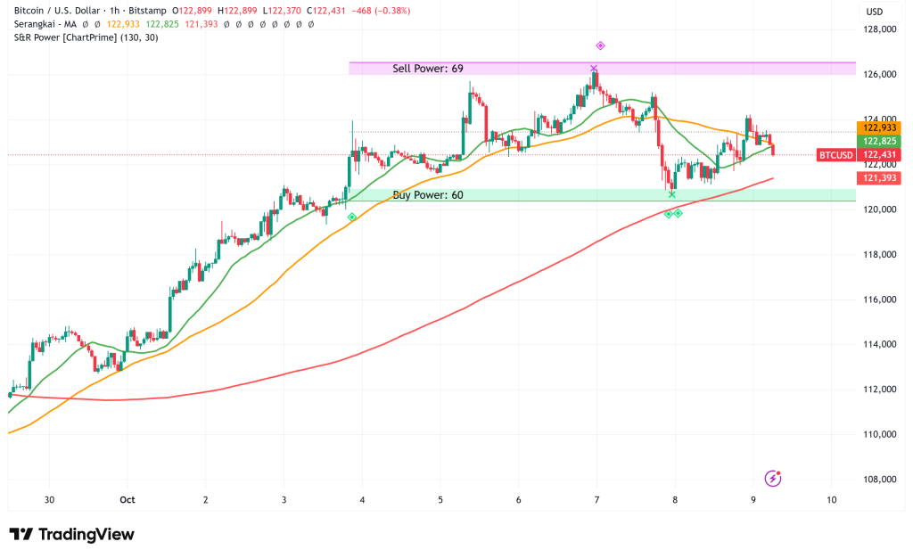 ⚠️CRIPTOVALUTE: Bitcoin scende sotto i 122.000$: attuale valore a 121.967,40$ con un calo dello 0,19%