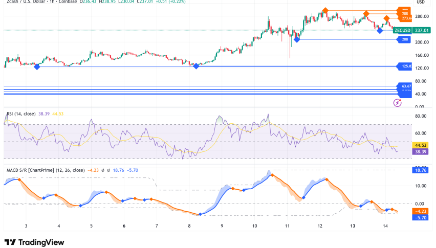 Zcash Surges 340% in a Month: Bull Flag Pattern Points to $336 Target, Overbought Warnings Mount