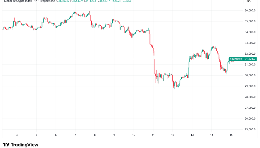 Daily Crypto Signals: Bitcoin Tests $113K, Solana Struggles to Hold $200 as Market Stabilizes