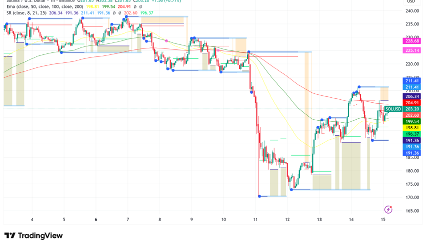 Can Solana Hold $200 as Institutional Accumulation Clashes with Weakening Network Activity?