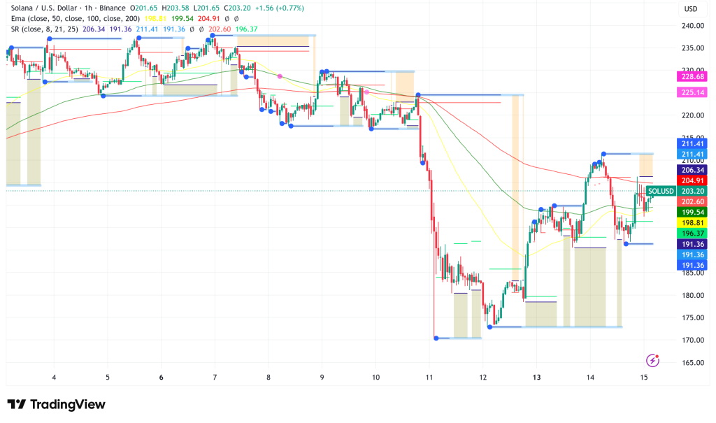 Can Solana Hold $200 as Institutional Accumulation Clashes with Weakening Network Activity?