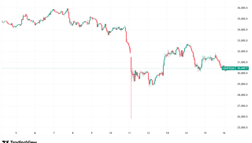 Daily Crypto Signals: Bitcoin Fights to Hold $110K, Dogecoin Holders Accumulate After Flash Crash