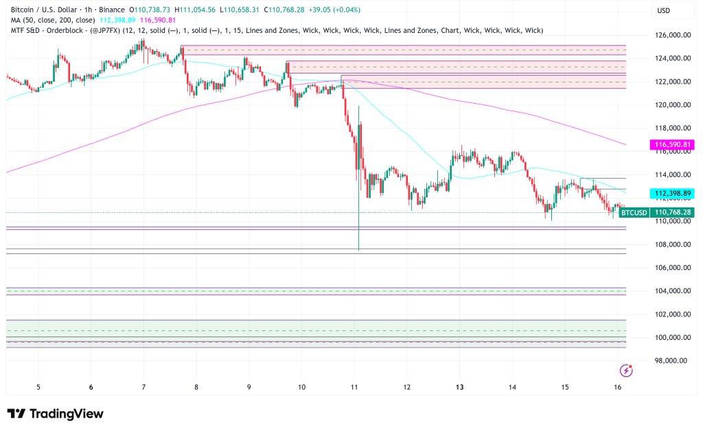 Bitcoin Tests $111,000 Despite Institutional Holdings Surging Past 1 Million BTC