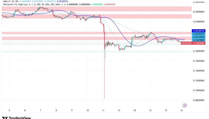 Dogecoin's Institutional Moves and Bullish Technical Signals Point to Potential $1.60 Target