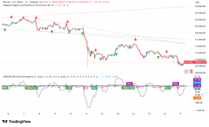 Bitcoin Struggles Below $110K as Key Holders Shed $1.9B Despite Historic Fear Signal