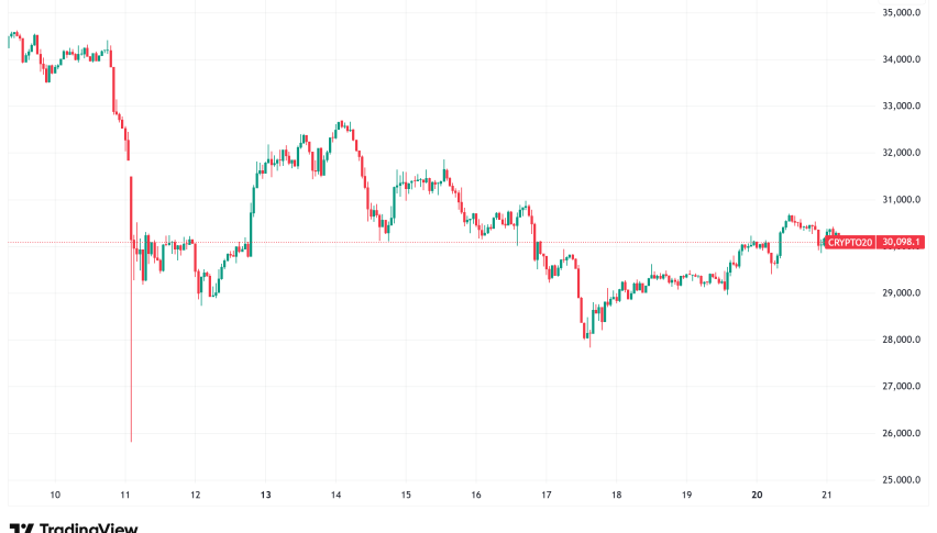 Daily Crypto Signals: XRP Eyes $3 Breakout, Dogecoin Rallies on Musk's Latest Post