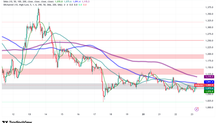 BNB Price Tests Critical $1,000 Support, Institutional Demand Surges Despite Technical Weakness