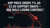 XRP Price Drops 7% as $2.50 Support Snaps — Are Bulls Losing Control?