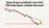 Silver Drops to $49.60—Can Soft PMI Data Spark a Bullish Reversal?