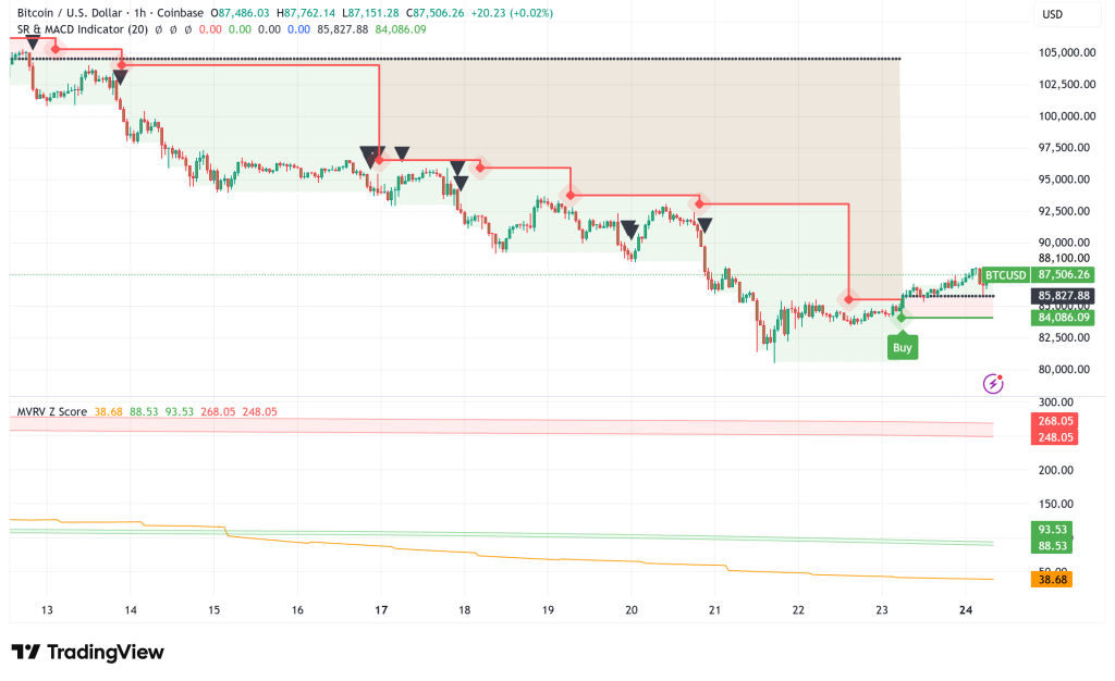 Bitcoin Holds Above $87,000 as Market Tests Recovery After Brutal Correction