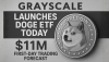 Grayscale Launches DOGE ETF Today: $11M First-Day Trading Forecast
