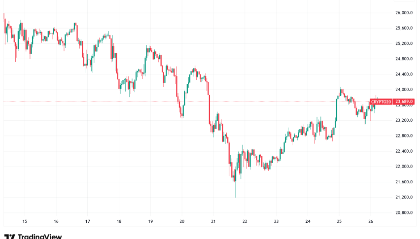 Daily Crypto Signals: Bitcoin Wavers Under Pressure, Zcash Claims November's Search Crown